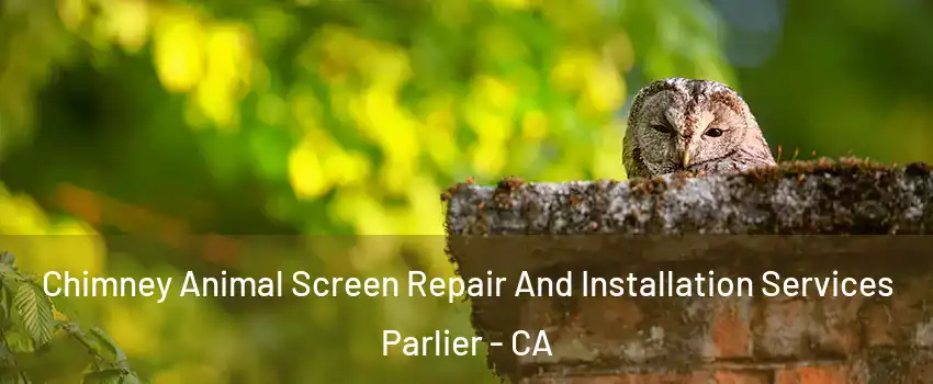  Chimney Animal Screen Repair And Installation Services Parlier - CA