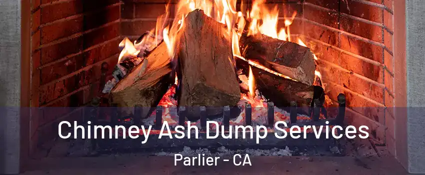  Chimney Ash Dump Services Parlier - CA