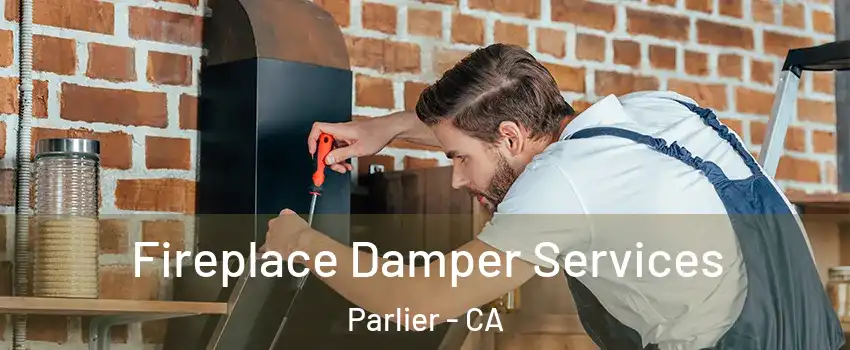  Fireplace Damper Services Parlier - CA