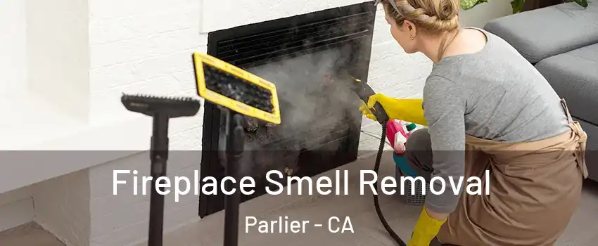  Fireplace Smell Removal Parlier - CA