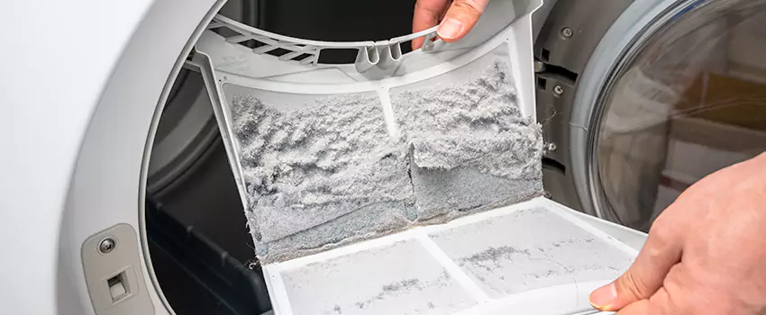 Best Dryer Lint Removal Company in Parlier, California