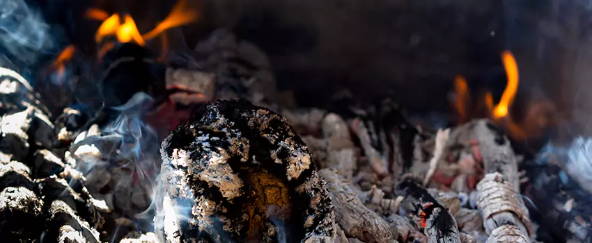 Creosote Removal Experts in Parlier, CA