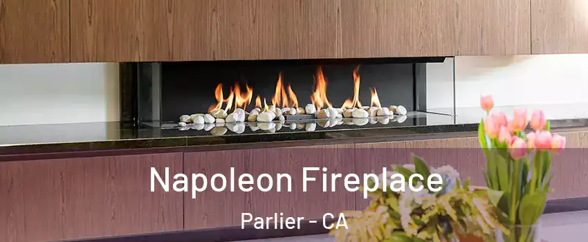  Napoleon Fireplace Parlier - CA